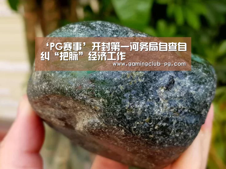 ‘PG赛事’开封第一河务局自查自纠“把脉”经济工作(图3) PG游艺